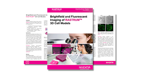 Brightfield and fluorescent imaging of RASTRUM™ 3D cell models