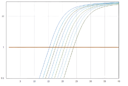 accuracy-graphic-transparent