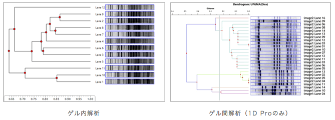 CLIQS_CLIQS 1D Pro_dendrogram