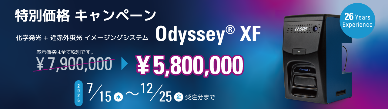KV_OdysseyXF-campaign