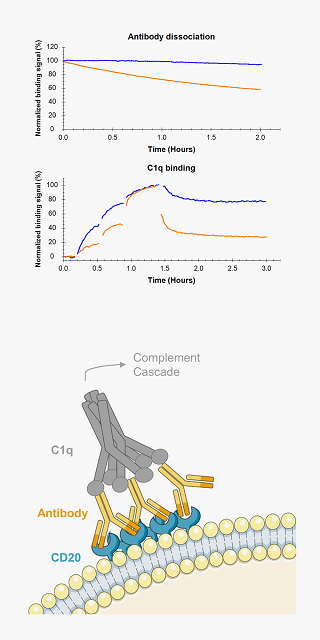 binding_to_function