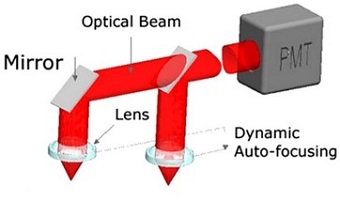 Confocal-realtime-autofocus