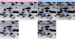 SameSpots_2D_view