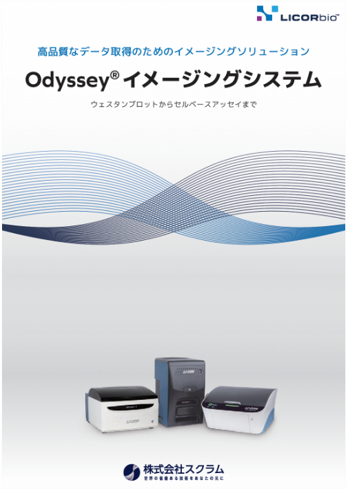 Odyssey総合_12P冊子