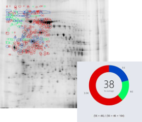 SpotMap_top_left