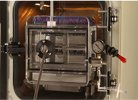 sample_extractor