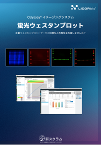 蛍光ウェスタンブロット_20P冊子