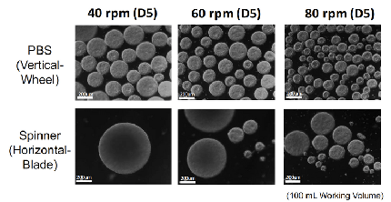 Comparison of cell aggregates-p-800